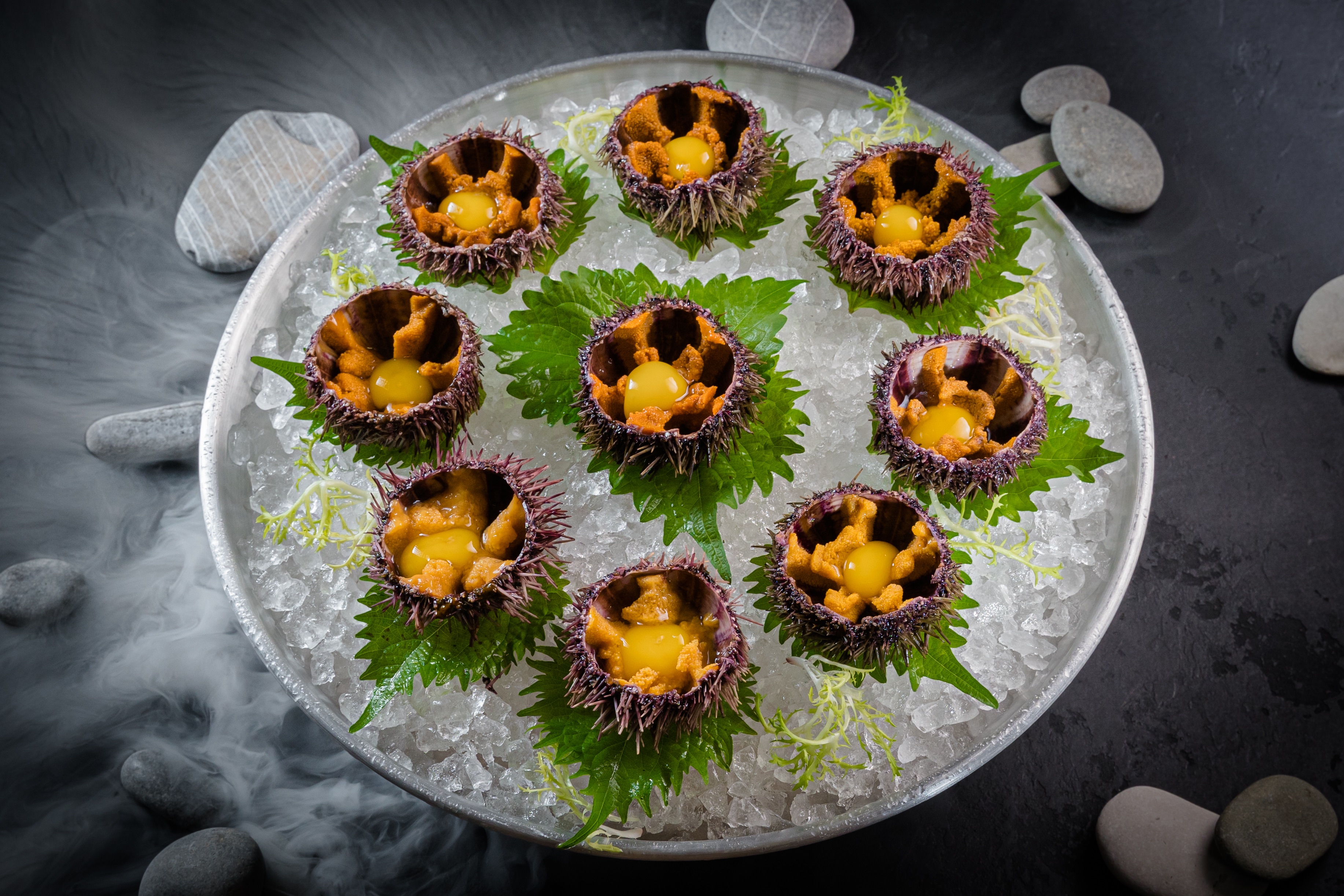 О пользе морских ежей: интересные факты